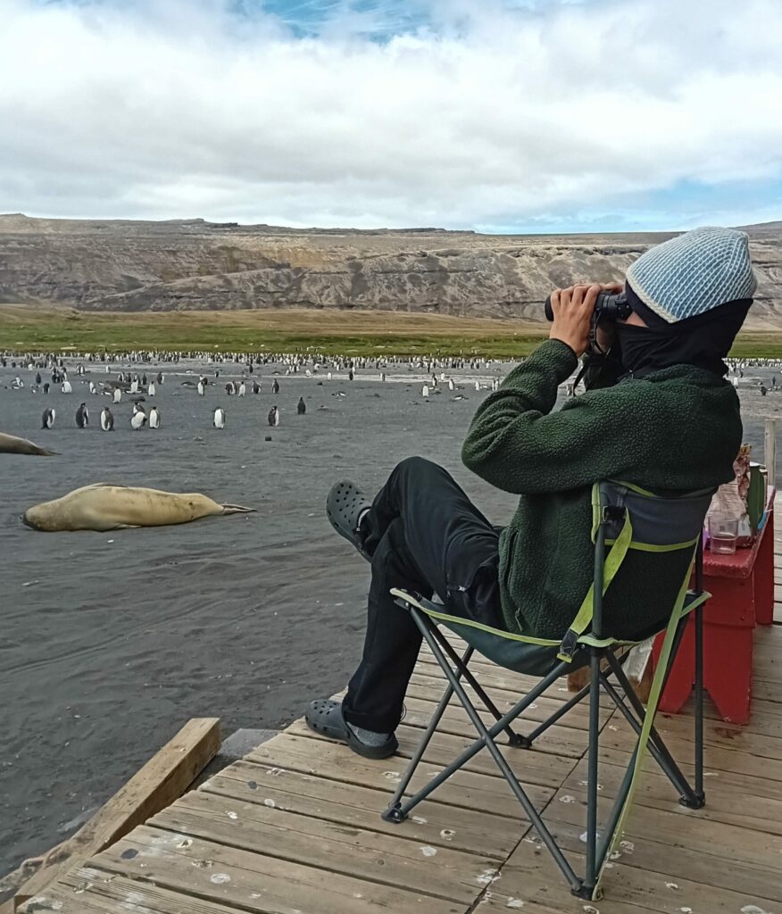 Bonnet froid laine mérinos terres australes